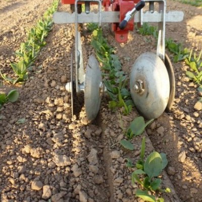 Ferramenta agrícola com lâminas circulares entre plantas jovens no solo arado