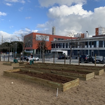 Caixas de cultivo em madeira ao ar livre com edifício moderno ao fundo