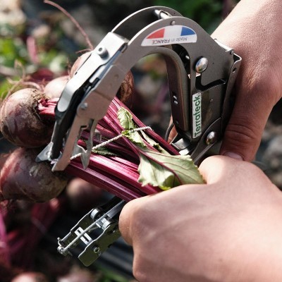 Ferramenta de metal para colheita de vegetais com rótulos em mãos em jardim