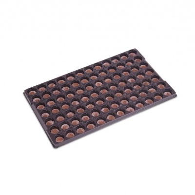 Palete de plástico preto com 81 células para germinação de sementes