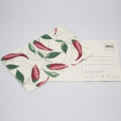 Dois postais, um com desenho de pimentos e outro em branco com espaço para mensagem