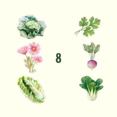 Pinturas aquarela de vegetais e flores com número 8 no centro