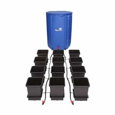 Sistema de cultivo hidropónico com 12 vasos pretos e depósito azul