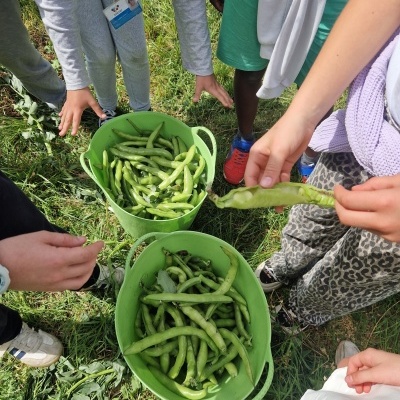 https://loja.ecocenter.pt/product/horta-escola-instalacao-aprendizagem