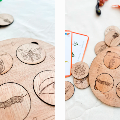 Tabuleiros e fichas de madeira com gravuras de insetos e borboletas sobre tecido branco