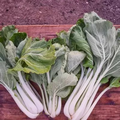 Folhas verdes com talos brancos sobre madeira