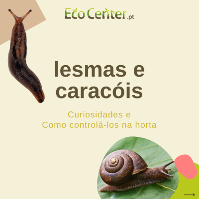 Lesma e caracol com texto EcoCenter.pt e dicas para controlo na horta