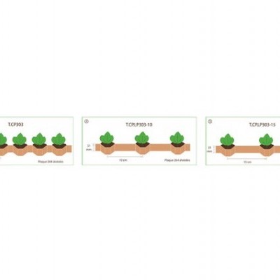 Diagramas de plantações com plantas e medidas em centímetros.
