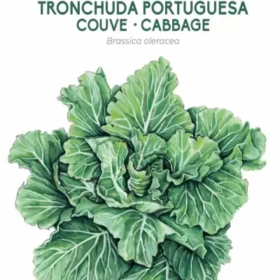 https://loja.ecocenter.pt/product/sementes-vivas-couve-tronchuda