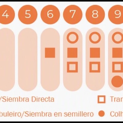 https://loja.ecocenter.pt/product/sementes-vivas-couve-tronchuda