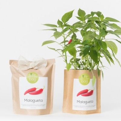 Produtos Malagueta da marca Vife Bag, embalagem de papel castanho com fita e planta com pimentos vermelhos.