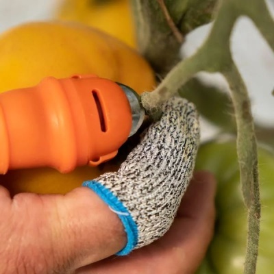 https://loja.ecocenter.pt/product/faca-de-colheita-de-polegar