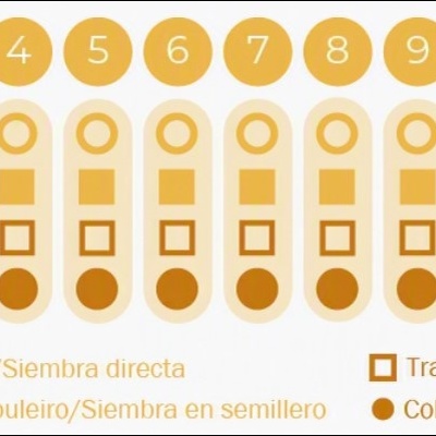 https://loja.ecocenter.pt/product/sementes-vivas-coentros
