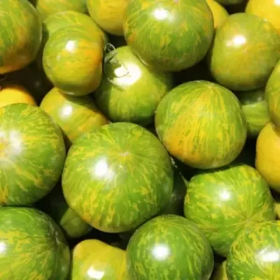 https://loja.ecocenter.pt/product/sementes-vivas-tomate-green-zebra