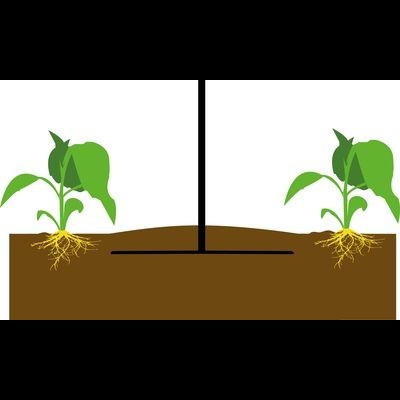 Duas plantas verdes com raízes no solo, ligadas por linha preta