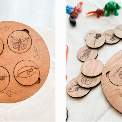Peças de madeira gravadas com fases da borboleta e tabuleiro redondo.