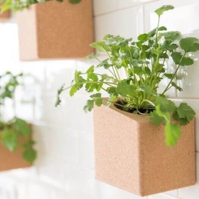 Vasos de cortiça com plantas verdes em parede de azulejos brancos