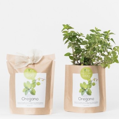 Dois sacos de papel com etiqueta Oregano, um com planta e o outro fechado com laço.