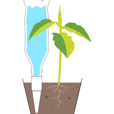 Sistema de irrigação com garrafa de plástico azul e planta verde em vaso com terra
