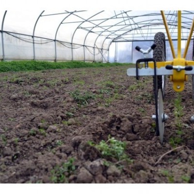 Interior de estufa com chão de terra, plantas pequenas e equipamento agrícola amarelo