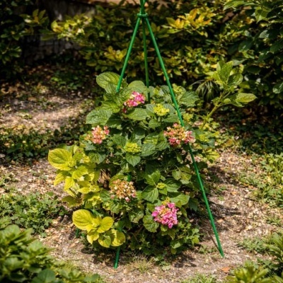 https://loja.ecocenter.pt/product/suporte-para-plantas-ornamentais-tutoplanta