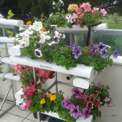 Estrutura de cultivo vertical com tubos brancos e flores coloridas na varanda