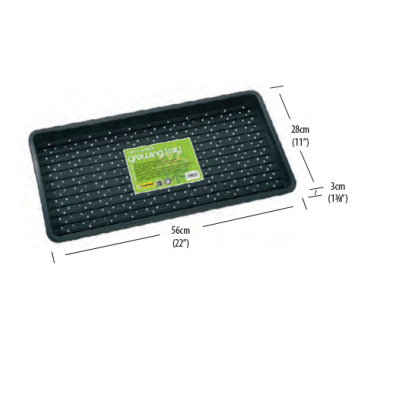 Kit Microvegetais Nutrição