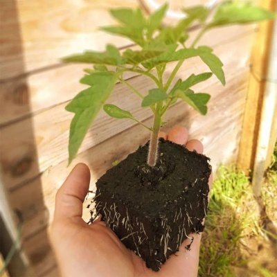 Prensa manual para blocos de solo