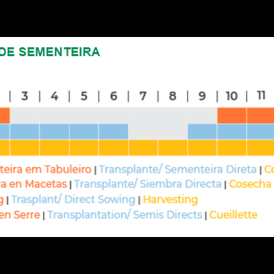Calendário de sementeira com cores e legendas multilingues