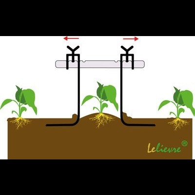 Sistema de irrigação por gotejamento com tubos pretos e plantas verdes no solo
