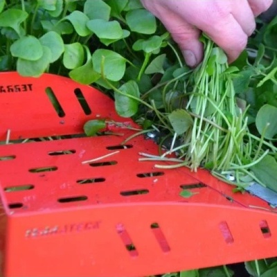 Ferramenta de jardinagem laranja a colher plantas verdes