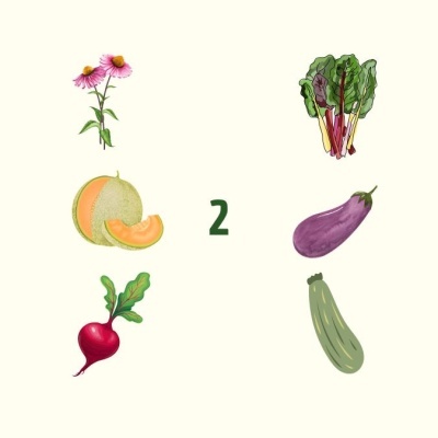 ilustração de frutas, legumes, e flor com número 2 central