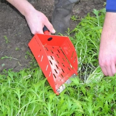 Ferramenta de corte agrícola vermelha a colher plantas verdes em campo