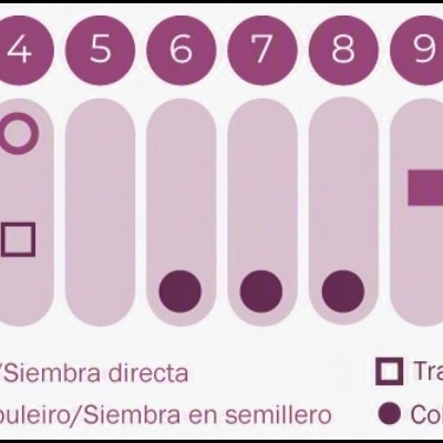 https://loja.ecocenter.pt/product/sementes-vivas-equinacia