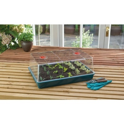 Estufa de plástico transparente com plantas em crescimento e ferramentas de jardinagem