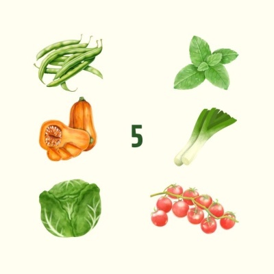 Ilustrações de feijão verde, hortelã, abóbora, alho-francês, alface e tomate-cereja com número 5 ao centro