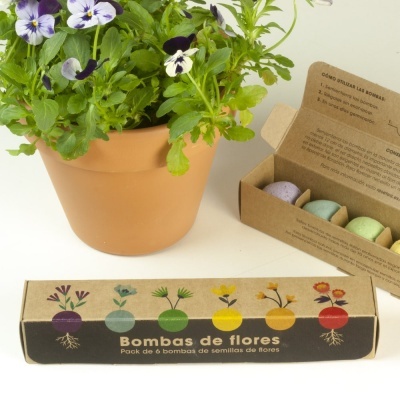 https://loja.ecocenter.pt/product/pack-de-6-bombas-de-sementes-flores-de-cores
