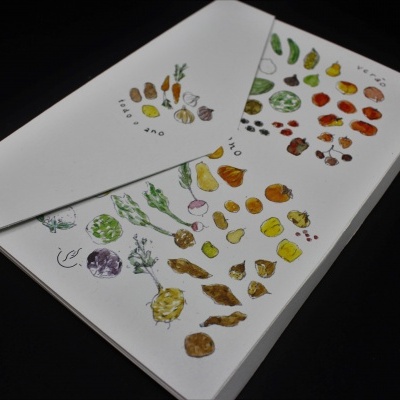 caixa branca com desenhos coloridos de legumes e vegetais