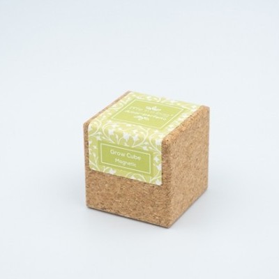https://loja.ecocenter.pt/product/grow-cube-amor-perfeito