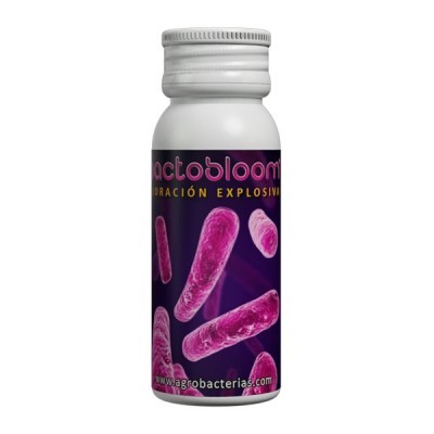 https://loja.ecocenter.pt/product/bactobloom-10g