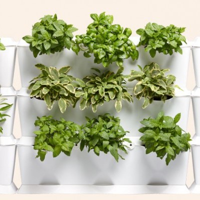 Sistema de vasos de plantas aromáticas verticais brancos com várias plantas verdes