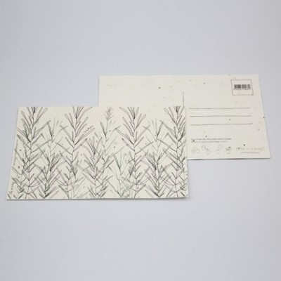 Postais retangulares com design de ramos e espaço para endereço