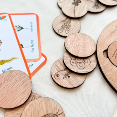 Fichas de madeira com desenhos de insetos e cartas educativas em português sobre tecido claro