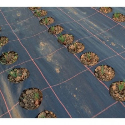 Manta de proteção de solo preta com buracos para plantas