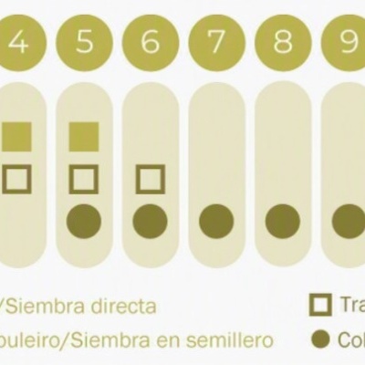 https://loja.ecocenter.pt/product/sementes-vivas-beringela-white-egg