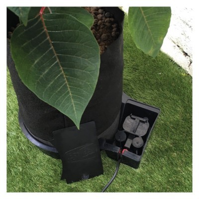 Vaso preto com planta e dispositivo eléctrico aberto sobre relva artificial