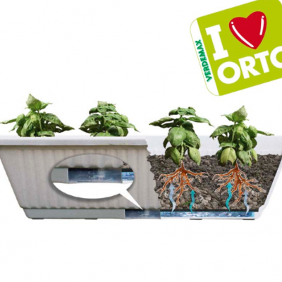 Vaso cinza claro com plantas de manjericão e corte transversal mostrando raízes