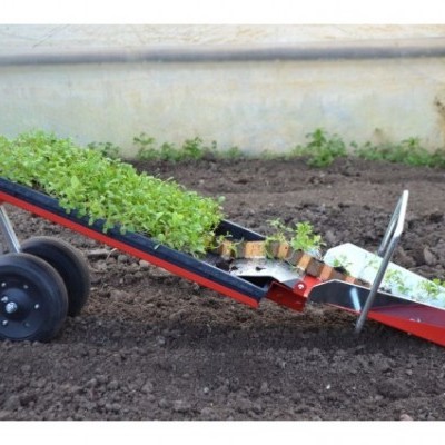 Carrinho metálico vermelho com plantas verdes em bandejas no jardim