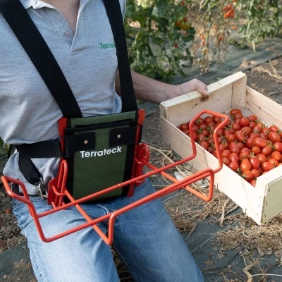 Arnês de transporte com caixa de tomates vermelhos em campo agrícola