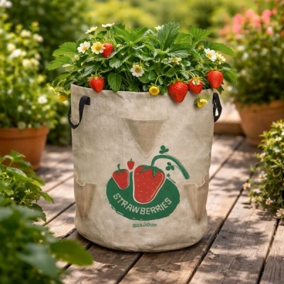 https://loja.ecocenter.pt/product/saco-de-juta-para-cultivo-de-morangos-berrypockets